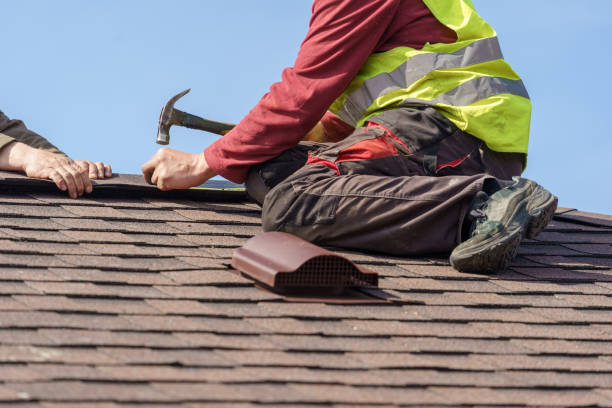 Best Roof Gutter Cleaning  in Atchison, KS